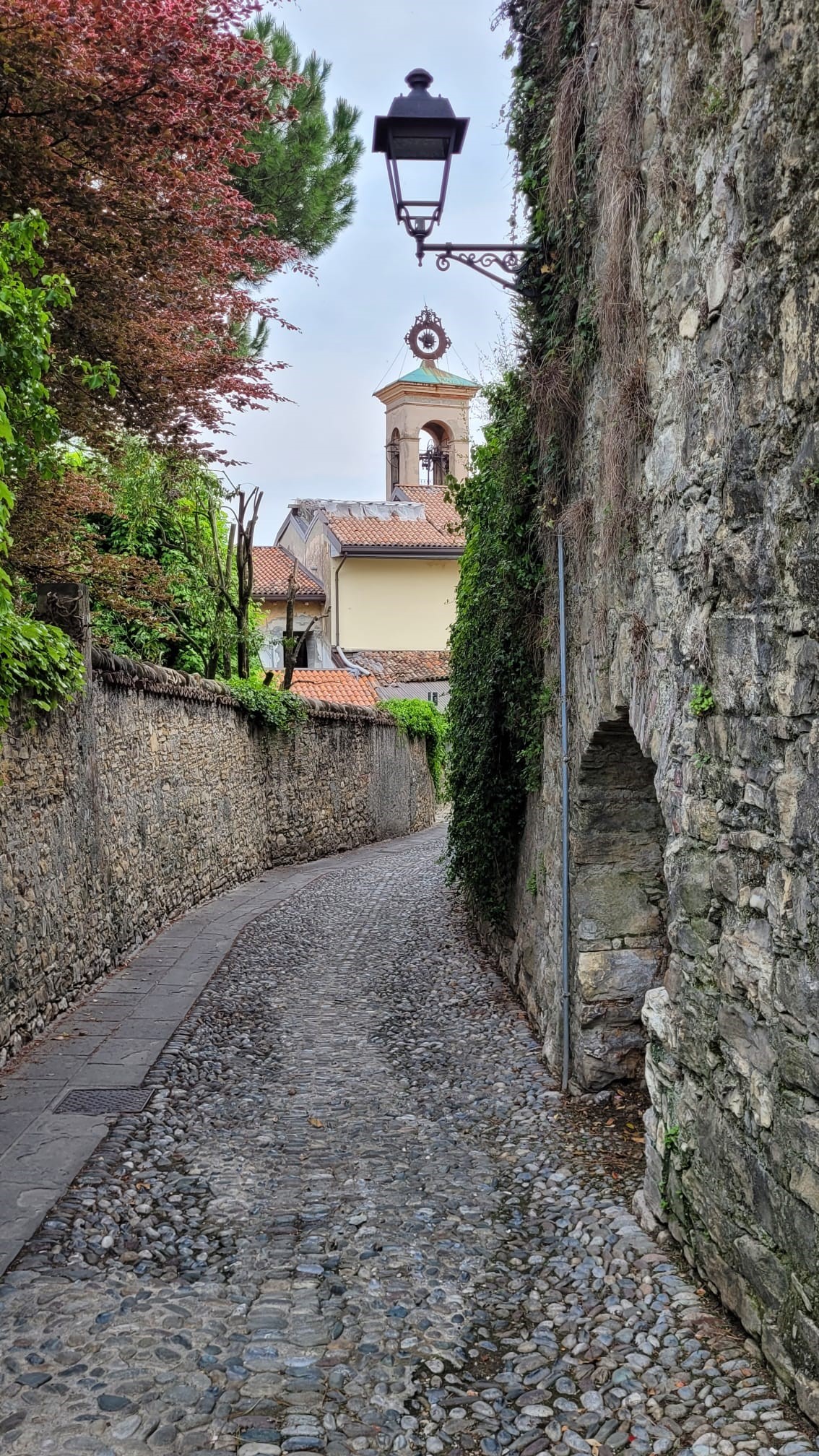 Bergamo 1